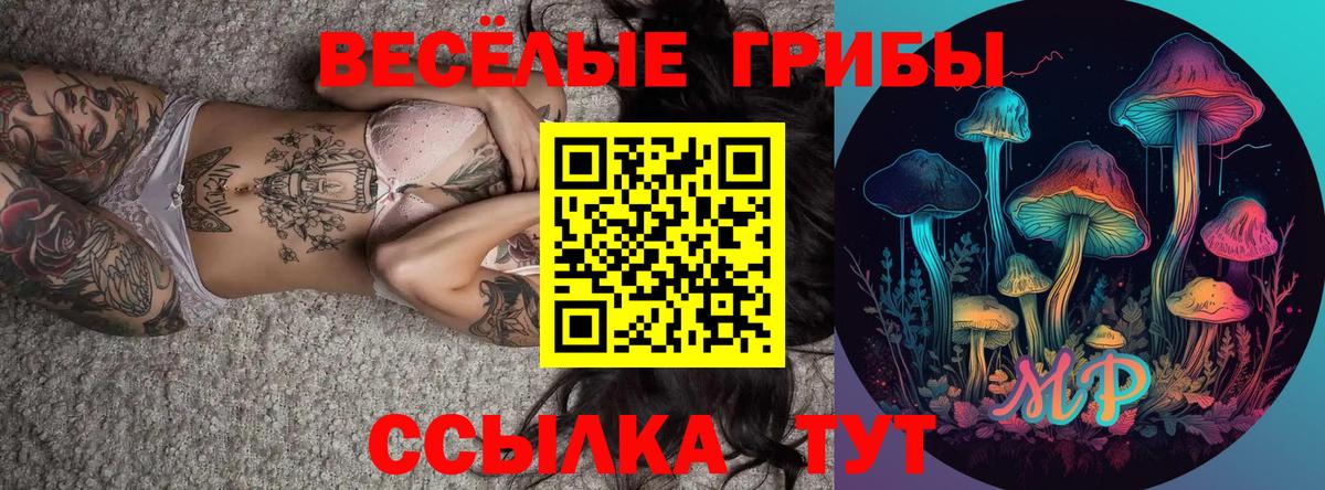 Галлюциногенные грибы Psilocybine cubensis  наркота  Южно-Сахалинск  Вход с VPN  Псилоцибиновые грибы прущие грибы 